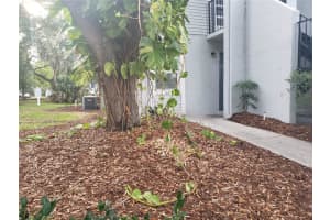 7100 Waterside Dr, TAMPA