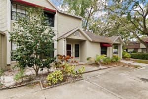 8411 LAURELON PLACE, TEMPLE TERRACE, FL 33637 - MLS#MFRTB8456793