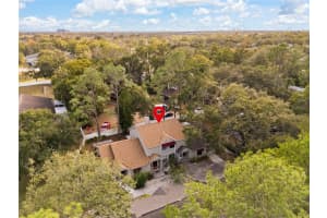 8411 LAURELON PLACE, TEMPLE TERRACE, FL 33637 - MLS#MFRTB8456793