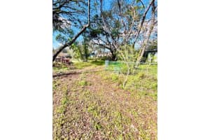 35444 DARLENE DRIVE, ZEPHYRHILLS, FL 33541 - MLS#MFRTB8456795