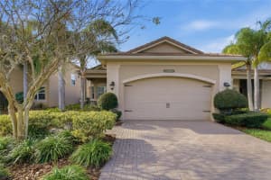 30588 CHESAPEAKE BAY DRIVE, WESLEY CHAPEL, FL 33543 - MLS#MFRTB8456808