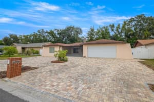 4023 Windtree Dr, TAMPA