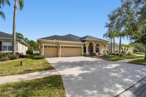 9311 MANGROVE COURT, TAMPA, FL 33647 - MLS#MFRTB8456814