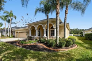 9311 MANGROVE COURT, TAMPA, FL 33647 - MLS#MFRTB8456814