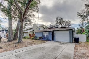 4729 SERENA DRIVE, TAMPA, FL 33617 - MLS#MFRTB8456816
