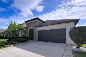 11345 AMERICAN HOLLY DRIVE, RIVERVIEW, FL 33578 - MLS#MFRTB8456818