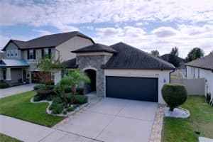 11345 AMERICAN HOLLY DRIVE, RIVERVIEW, FL 33578 - MLS#MFRTB8456818