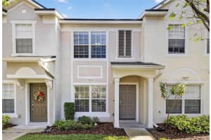4420 BARNSTEAD DRIVE, RIVERVIEW, FL 33578 - MLS#MFRTB8456823