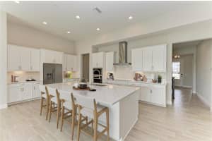 9592 SURREY ROSE DRIVE, SAN ANTONIO, FL 33576 - MLS#MFRTB8456826