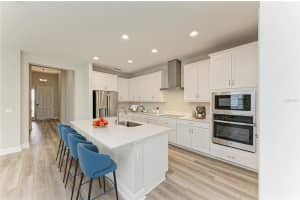 10198 SURREY ROSE DRIVE, SAN ANTONIO, FL 33576 - MLS#MFRTB8456829