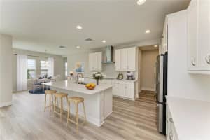 10186 SURREY ROSE DRIVE, SAN ANTONIO, FL 33576 - MLS#MFRTB8456830