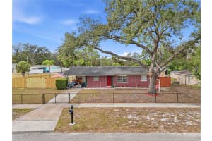 9402 NEWPORT AVENUE, TAMPA, FL 33612 - MLS#MFRTB8456914