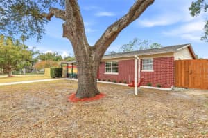 9402 NEWPORT AVENUE, TAMPA, FL 33612 - MLS#MFRTB8456914