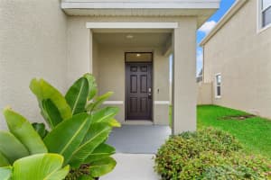 30753 PENNY SURF LOOP, WESLEY CHAPEL, FL 33545 - MLS#MFRTB8456961
