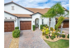 17011 CLEAR CORK DRIVE, WIMAUMA, FL 33598 - MLS#MFRTB8456981