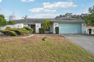 1627 FARRIER TRAIL, CLEARWATER, FL 33765 - MLS#MFRTB8457003