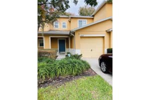 11658 Mango Ridge Blvd, SEFFNER
