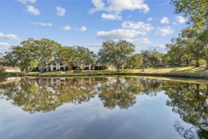 486 Lakeview Dr #54, PALM HARBOR