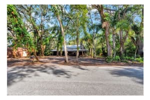 12805 Forest Hills Dr, TAMPA