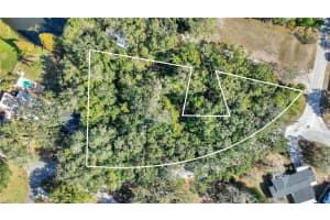 12805 FOREST HILLS DRIVE, TAMPA, FL 33612 - MLS#MFRTB8457120