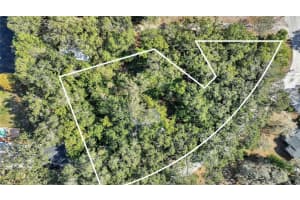 12805 FOREST HILLS DRIVE, TAMPA, FL 33612 - MLS#MFRTB8457120