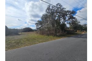 34794 ORCHID PARKWAY, DADE CITY, FL 33523 - MLS#MFRTB8457162