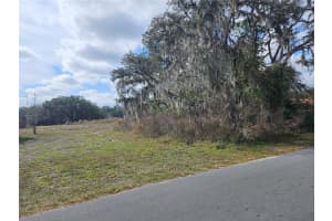 34794 ORCHID PARKWAY, DADE CITY, FL 33523 - MLS#MFRTB8457162