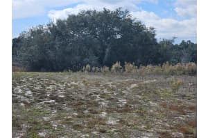 34794 ORCHID PARKWAY, DADE CITY, FL 33523 - MLS#MFRTB8457162