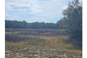 34794 ORCHID PARKWAY, DADE CITY, FL 33523 - MLS#MFRTB8457162