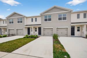 31264 Paper Birch St, WESLEY CHAPEL