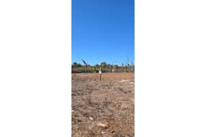 Lot 19 TREE COURT, NORTH PORT, FL 34288 - MLS#MFRTB8457201