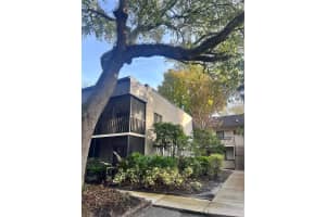 11709 RAINTREE VILLAGE BOULEVARD, TEMPLE TERRACE, FL 33617 - MLS#MFRTB8457272