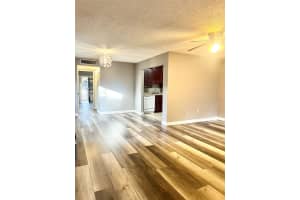 11709 RAINTREE VILLAGE BOULEVARD, TEMPLE TERRACE, FL 33617 - MLS#MFRTB8457272