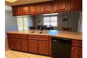 8519 GUM TREE AVENUE, NEW PORT RICHEY, FL 34653 - MLS#MFRTB8457337