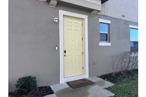 31779 BLUE PASSING LOOP, WESLEY CHAPEL, FL 33545 - MLS#MFRTB8457342