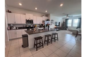 31779 BLUE PASSING LOOP, WESLEY CHAPEL, FL 33545 - MLS#MFRTB8457342