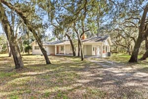 34582 ORCHID PARKWAY, DADE CITY, FL 33523 - MLS#MFRTB8457354