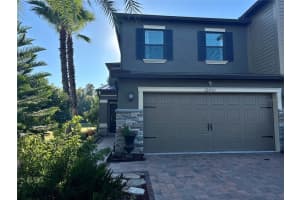 28450 TRANQUIL LAKE CIRCLE, WESLEY CHAPEL, FL 33543 - MLS#MFRTB8457370