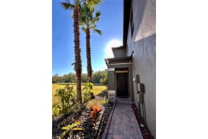 28450 TRANQUIL LAKE CIRCLE, WESLEY CHAPEL, FL 33543 - MLS#MFRTB8457370