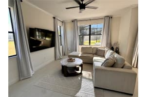 28450 TRANQUIL LAKE CIRCLE, WESLEY CHAPEL, FL 33543 - MLS#MFRTB8457370