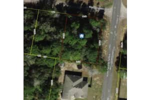 1684 PENDLETON STREET, DUNNELLON, FL 34434 - MLS#MFRTB8457381