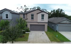 10335 Blue Plume Ct, RIVERVIEW