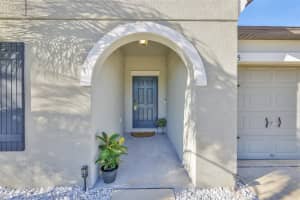 13575 WILLOW BLUESTAR LOOP, RIVERVIEW, FL 33579 - MLS#MFRTB8457402