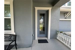 21529 SOUTHERN CHARM DRIVE, LAND O LAKES, FL 34637 - MLS#MFRTB8457456