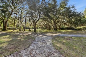 8756 BASSWOOD AVENUE, CRYSTAL RIVER, FL 34428 - MLS#MFRTB8457482