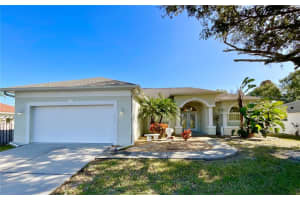 1828 OSPREY LANE, LUTZ, FL 33549 - MLS#MFRTB8457497