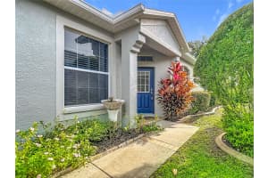 7526 DEER PATH LANE, LAND O LAKES, FL 34637 - MLS#MFRTB8457503