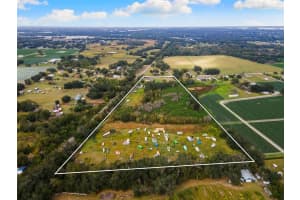 1103 COLSON ROAD, PLANT CITY, FL 33567 - MLS#MFRTB8457563