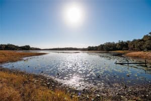 8694 SAN RAMON COURT, INVERNESS, FL 34450 - MLS#MFRTB8457564