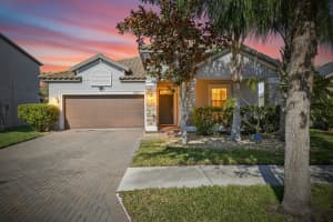 11924 FROST ASTER DRIVE, RIVERVIEW, FL 33579 - MLS#MFRTB8457570